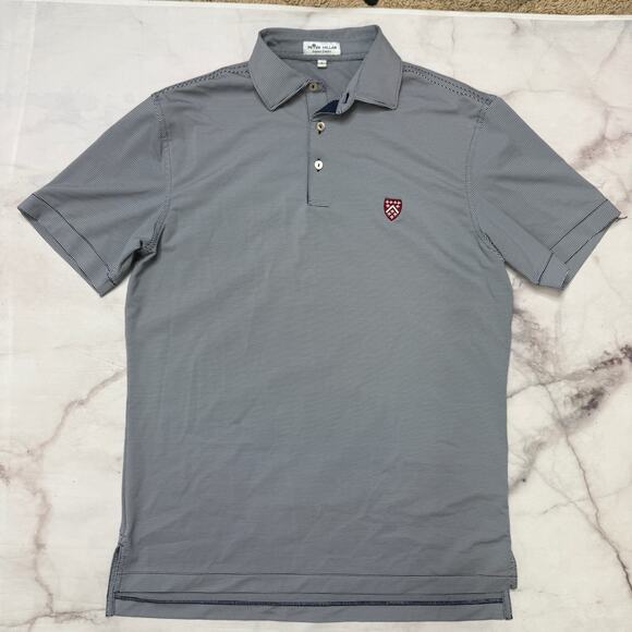 Peter Millar Summer Comfort Polo Shirt Mens S Blue Striped Berkley Hall Golf - Picture 1 of 7